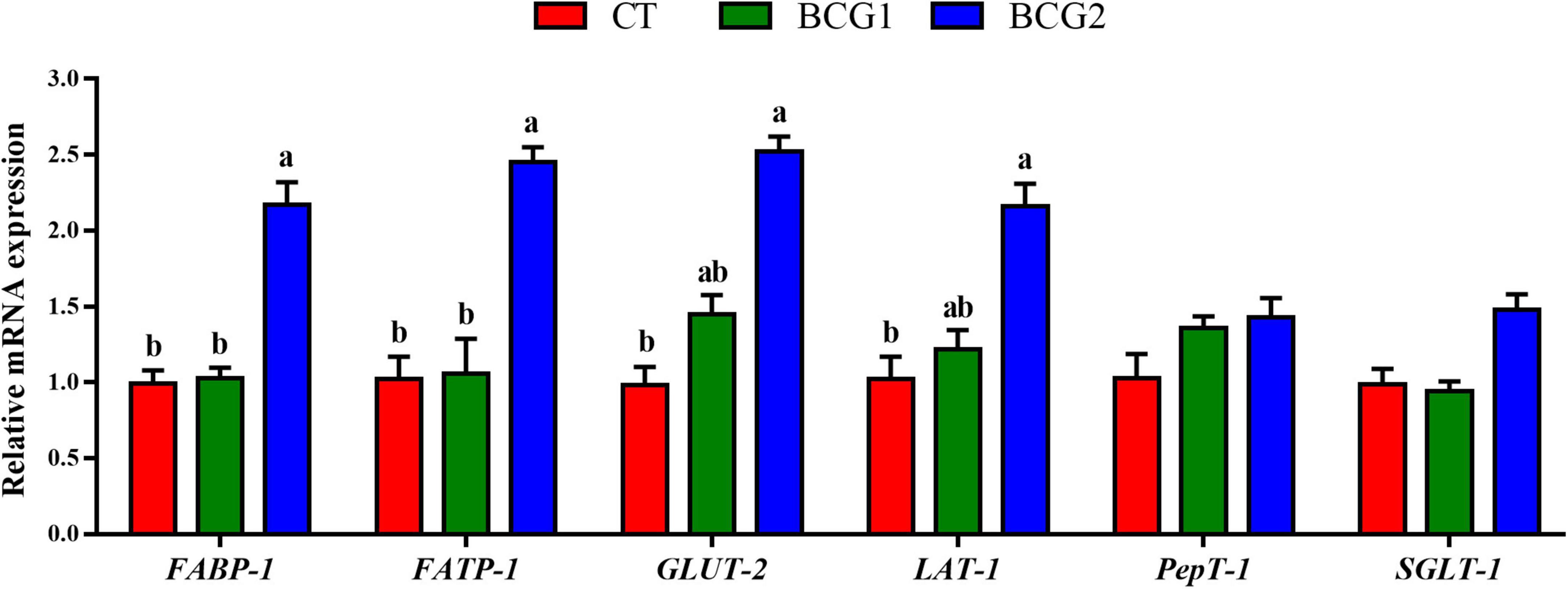 Dietary Bacillus licheniformis shapes the foregut microbiota, improving nutrient digestibility and intestinal health in broiler chickens